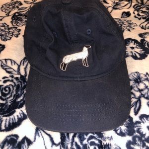 Blue hat with embroidered lamb
